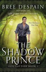 Into the Dark Book #1: The Shadow Prince by Bree DeSpain Paperback Book