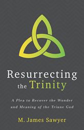 Resurrecting the Trinity: A Plea to Recover the Wonder and Meaning of the Triune God by M. James Sawyer Paperback Book
