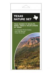 Texas Nature Set: Field Guides to Wildlife, Birds, Trees & Wildflowers of Texas by James Kavanagh Paperback Book