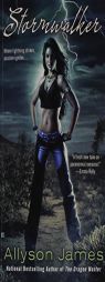 Stormwalker by Allyson James Paperback Book