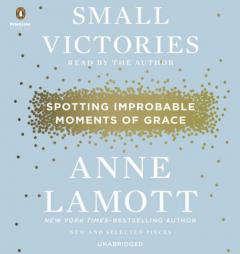 Small Victories: Spotting Improbable Moments of Grace by Anne Lamott Paperback Book