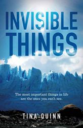 Invisible Things: The most important things in life are the ones you can't see. by Steve Chandler Paperback Book