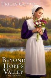 Beyond Hope's Valley: A Big Sky Novel by Tricia Goyer Paperback Book