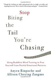 Stop Biting the Tail You're Chasing: Using Buddhist Mind Training to Free Yourself from Painful Emotional Patterns by Anyen Rinpoche Paperback Book