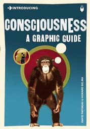 Introducing Consciousness: A Graphic Guide by David Papineau Paperback Book