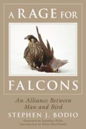 A Rage for Falcons: An Alliance Between Man and Bird by Stephen Bodio Paperback Book