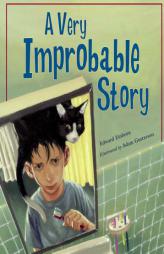 A Very Improbable Story: A Math Adventure by Edward Einhorn Paperback Book