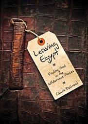 Leaving Egypt: Finding God in the Wilderness Places by Chuck Degroat Paperback Book