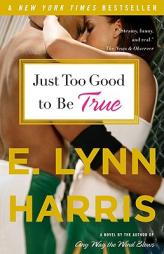 Just Too Good to Be True by E. Lynn Harris Paperback Book