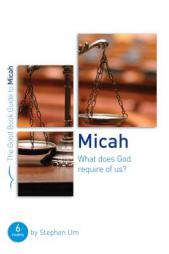 Micah: What Does God Require of Us? by Stephen Um Paperback Book