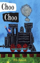 Choo Choo by Petr Horacek Paperback Book