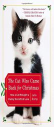 The Cat Who Came Back for Christmas: How a Cat Brought a Family the Gift of Love by Julia Romp Paperback Book
