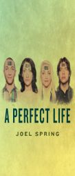A Perfect Life by Joel Spring Paperback Book