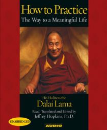 How To Practice: The Way To A Meaningful Life by Bstan-Dzin-Rgya-Mtsho Paperback Book