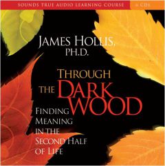 Through the Dark Wood by James Hollis Paperback Book