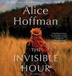 The Invisible Hour: A Novel by Alice Hoffman Paperback Book