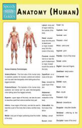 Anatomy (Human) (Speedy Study Guide) by Speedy Publishing LLC Paperback Book