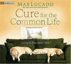 Cure for the Common Life by Max Lucado Paperback Book