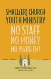 Smaller Church Youth Ministry: No Staff, No Money, No Problem! by Helene Foust Paperback Book