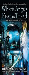 Methuselah's Children by Thomas E. Sniegoski Paperback Book
