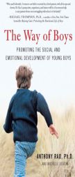 The Way of Boys: Protecting the Social and Emotional Development of Young Boys by Anthony Rao Paperback Book