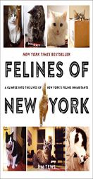 Felines of New York by Jim Tews Paperback Book