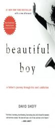 Beautiful Boy: A Father's Journey Through His Son's Addiction by David Sheff Paperback Book