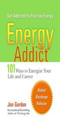 Energy Addict: 101 Physical, Mental, and Spiritual Ways to Energize Your Life by Jon Gordon Paperback Book