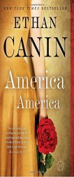 America America by Ethan Canin Paperback Book
