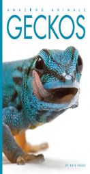Amazing Animals: Geckos by Kate Riggs Paperback Book