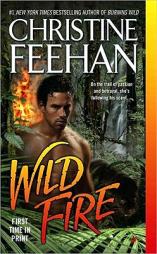 Wild Fire (Leopard) by Christine Feehan Paperback Book