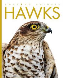 Amazing Animals: Hawks by Kate Riggs Paperback Book