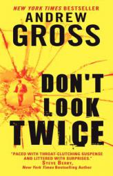Don't Look Twice (Ty Hauck) by Andrew Gross Paperback Book