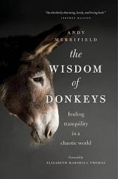 The Wisdom of Donkeys: Finding Tranquility in a Chaotic World by Andy Merrifield Paperback Book