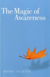The Magic of Awareness by Anam Thubten Paperback Book