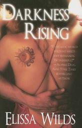 Darkness Rising by Elissa Wilds Paperback Book