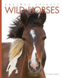 Amazing Animals: Wild Horses by Kate Riggs Paperback Book