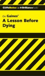 A Lesson Before Dying (Cliffs Notes Series) by Durthy A. Washington Paperback Book