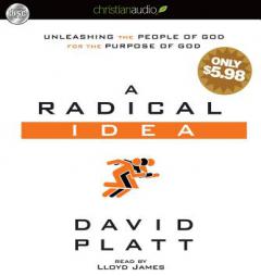 A Radical Idea: Unleashing the People of God for the Purpose of God by David Platt Paperback Book