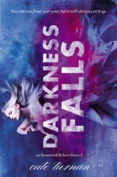 Darkness Falls (Immortal Beloved) by Cate Tiernan Paperback Book