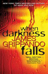 When Darkness Falls (Jack Swyteck) by James Grippando Paperback Book