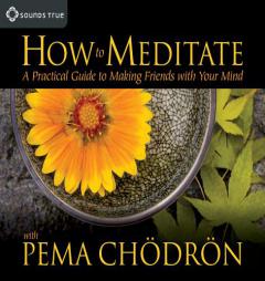 How to Meditate With Pema Chodron: A Practical Guide to Making Friends With Your Mind by Pema Chodron Paperback Book