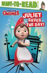Juliet Saves the Day! by A. E. Dingee Paperback Book