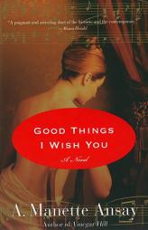 Good Things I Wish You by A. Manette Ansay Paperback Book