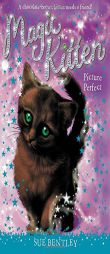 Picture Perfect #13 by Sue Bentley Paperback Book