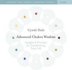 Advanced Chakra Wisdom by Cyndi Dale Paperback Book