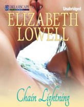 Chain Lightning by Elizabeth Lowell Paperback Book