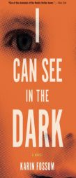 I Can See in the Dark by Karin Fossum Paperback Book